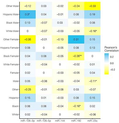 The Role of Racial and Ethnic Factors in MicroRNA Expression and Risk for Type 2 Diabetes